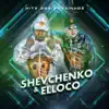 Shevchenko e Elloco - Hits dos Passinhos